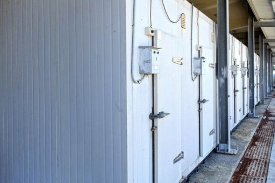 Row of commercial walk‑in cold rooms with insulated panels and secure doors